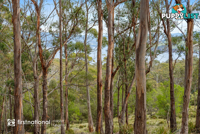 Lot 2 Bruny Island Main Road NORTH BRUNY TAS 7150