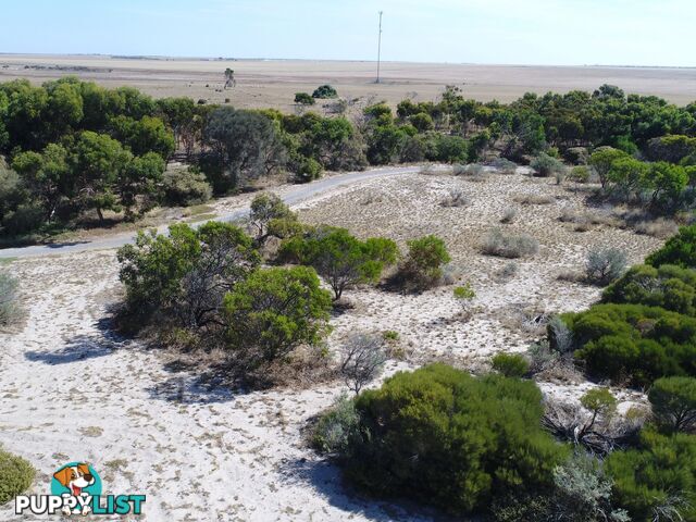 Lot 402 Black Point Drive BLACK POINT SA 5571