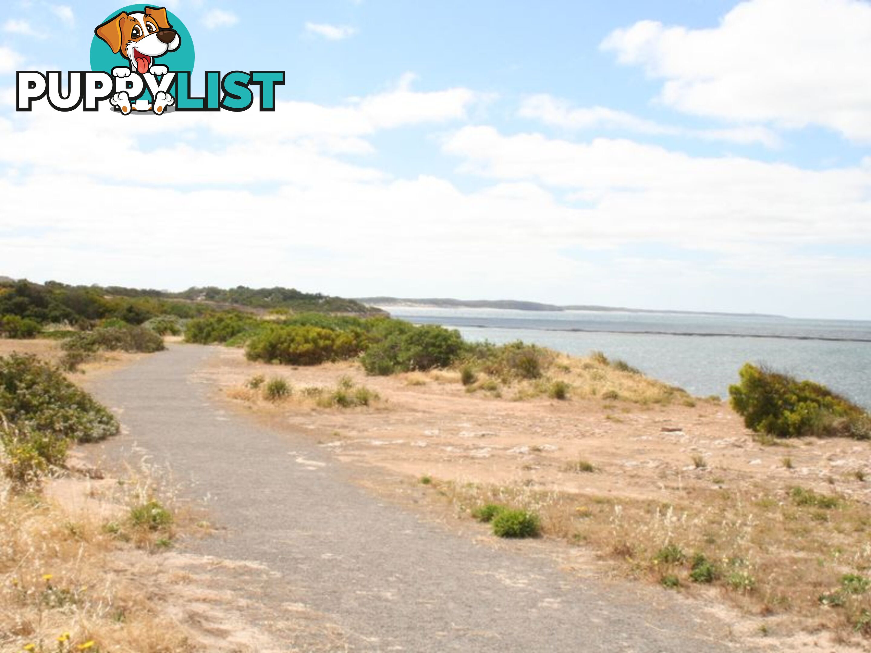 Lot 6 Moorowie Terrace PORT MOOROWIE SA 5575