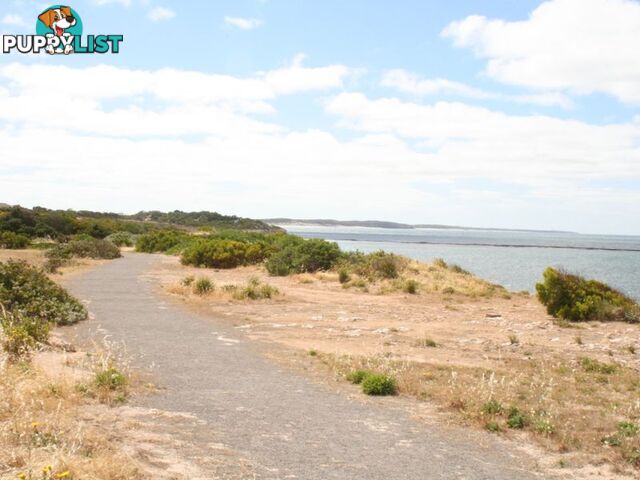 Lot 6 Moorowie Terrace PORT MOOROWIE SA 5575