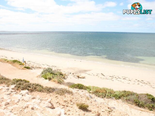 Lot 6 Moorowie Terrace PORT MOOROWIE SA 5575