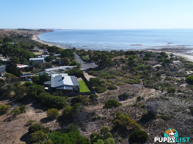 50 Esplanade PINE POINT SA 5571