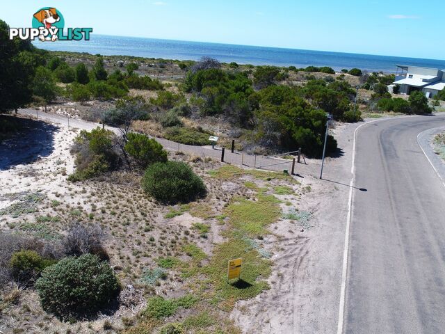 707 Outlook Rd BLACK POINT SA 5571