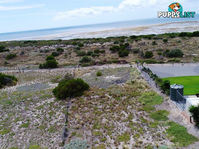 Lot 710 Outlook Road BLACK POINT SA 5571