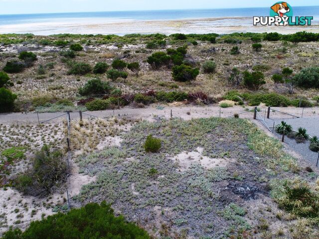 Lot 710 Outlook Road BLACK POINT SA 5571