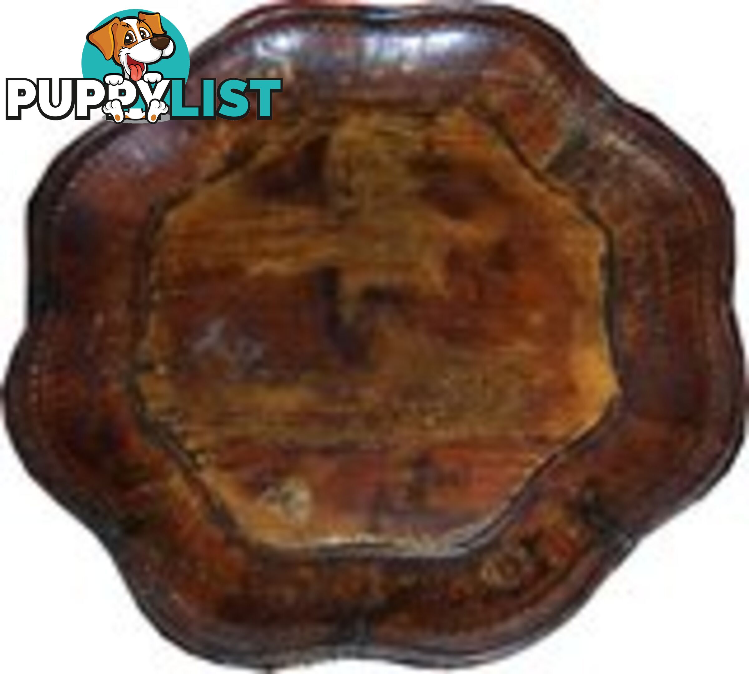 Brown Chinese Painted Display Plate