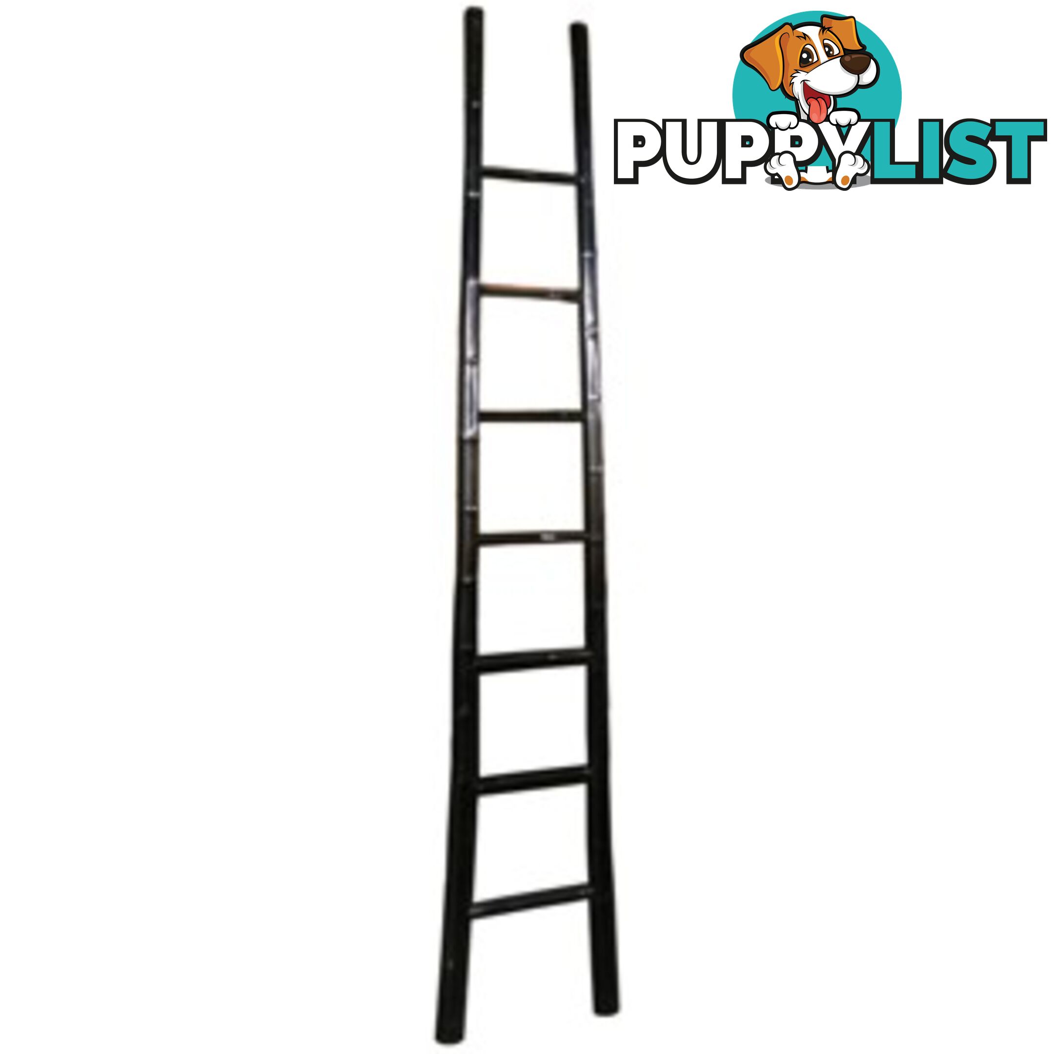 Black Lacquer Bamboo Ladder