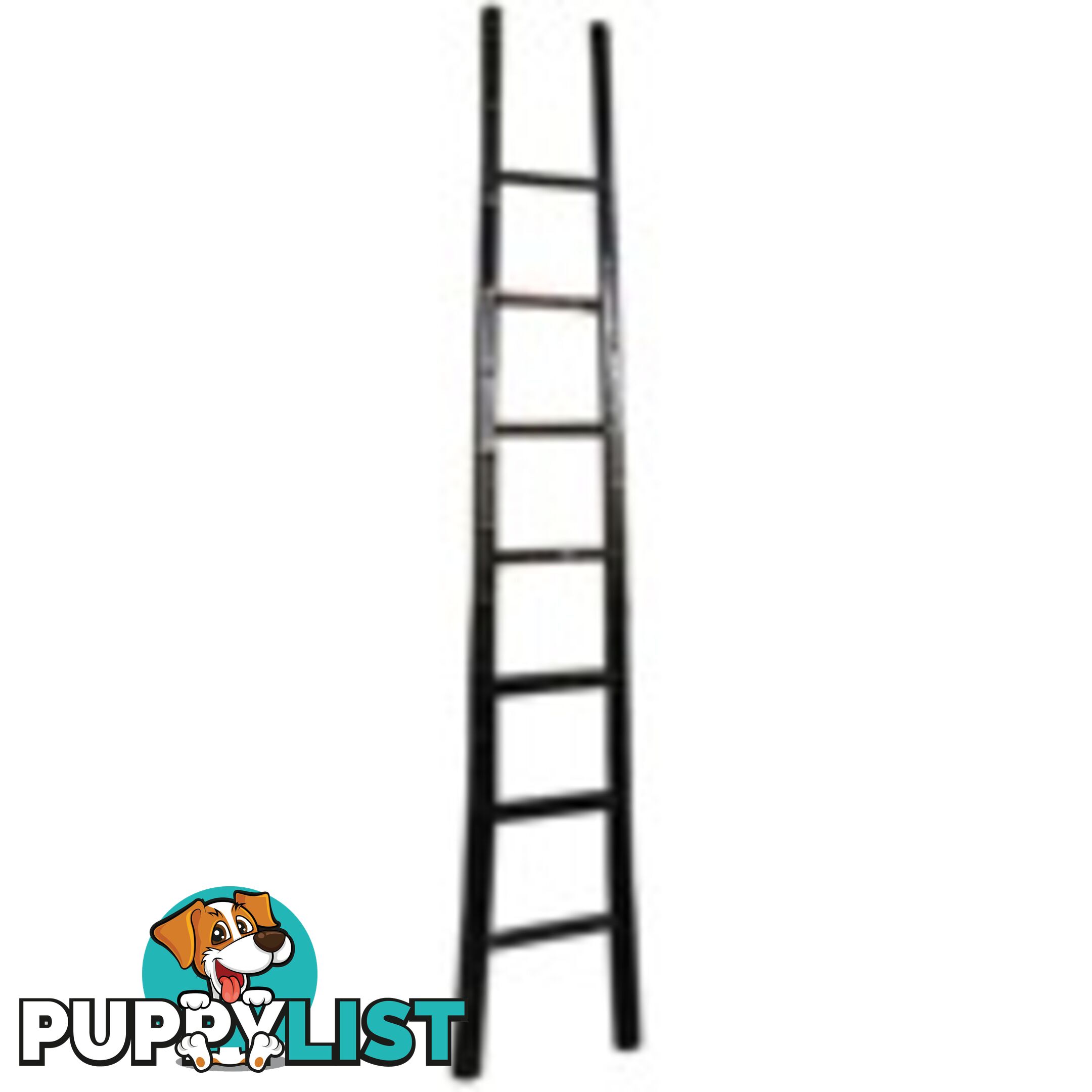 Black Lacquer Bamboo Ladder