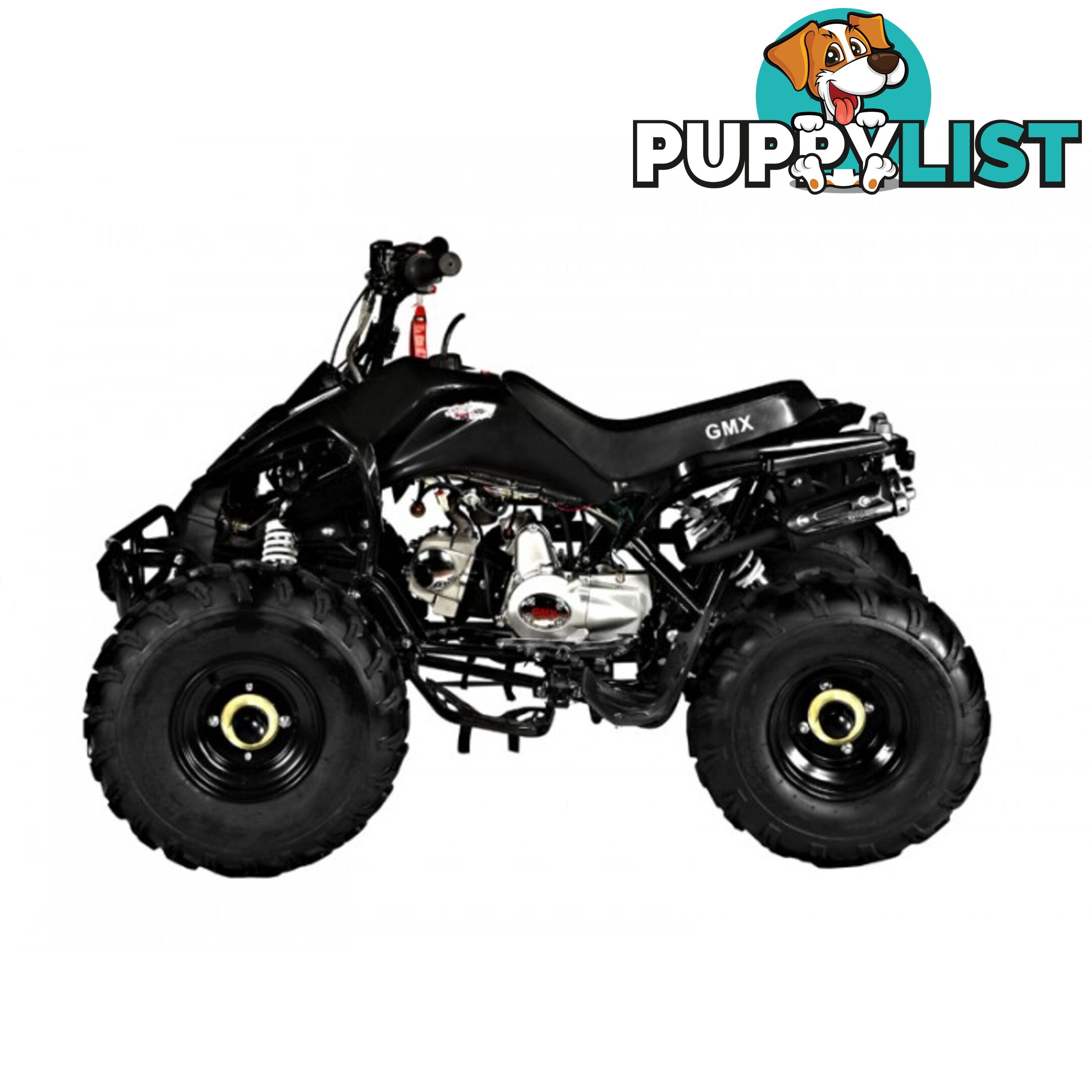 2014 GMX BEAST 125CC Quad Bike