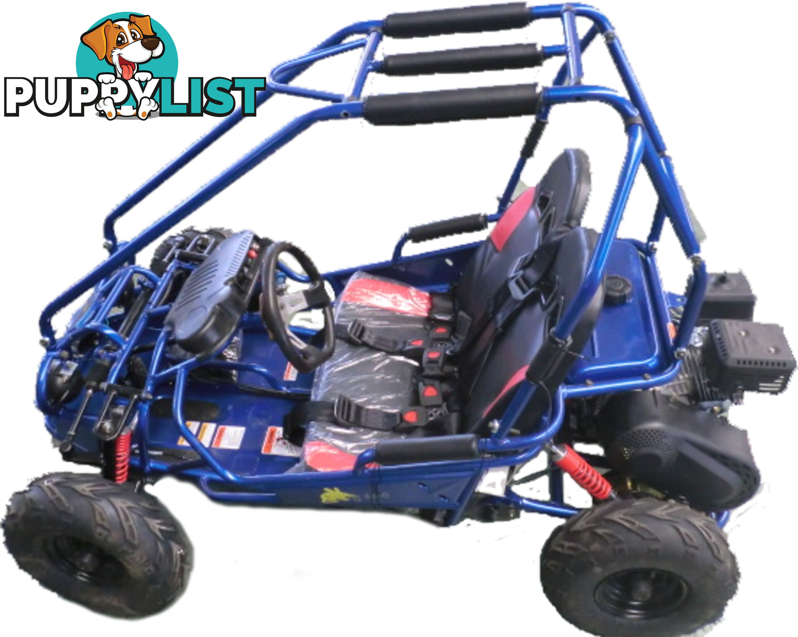 Bilby 160 5.5HP Kids Go Kart