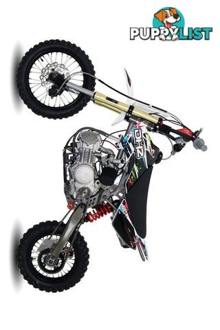 2016 DHZ D PRO 160 160CC DIRTBIKE