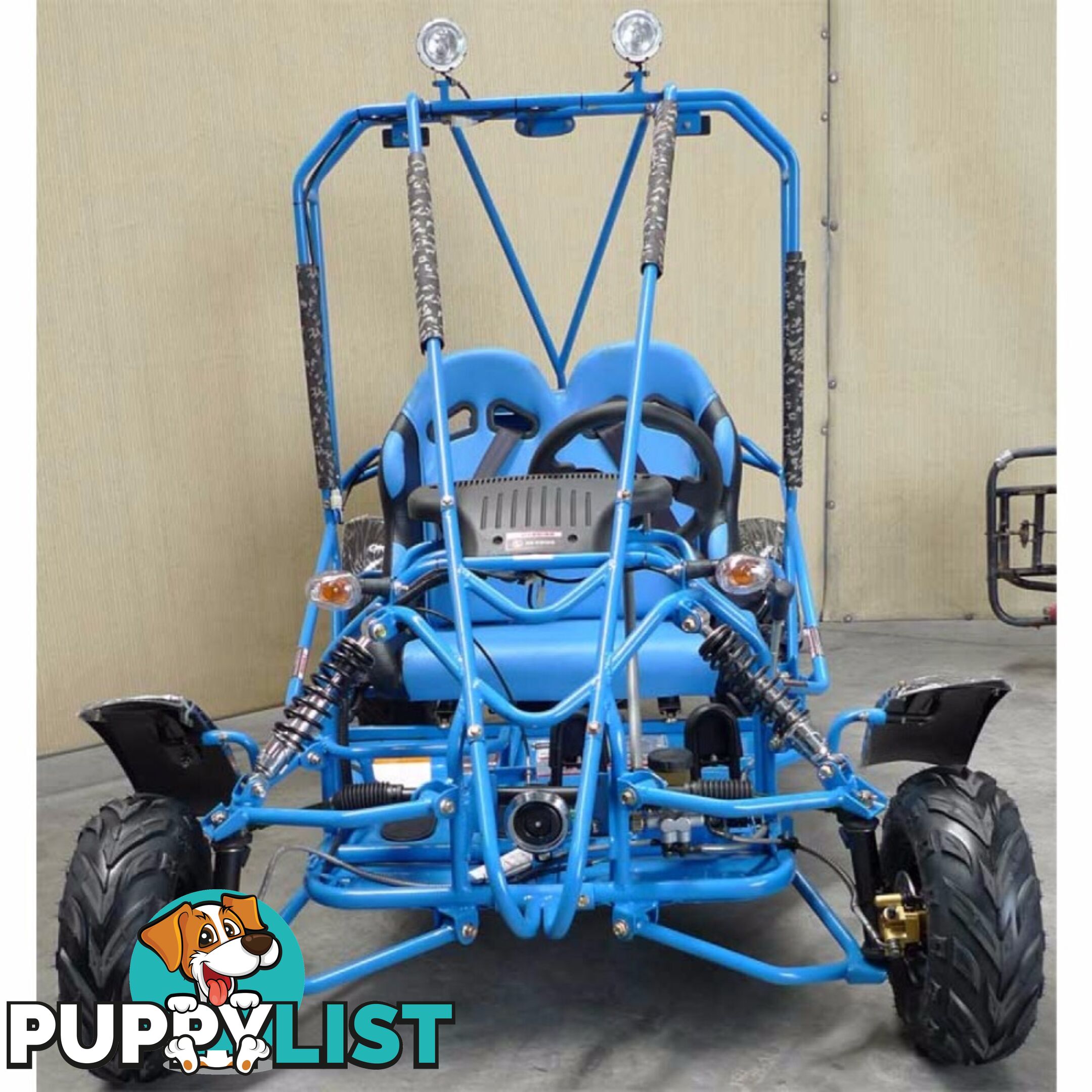 125cc buggy twin seater