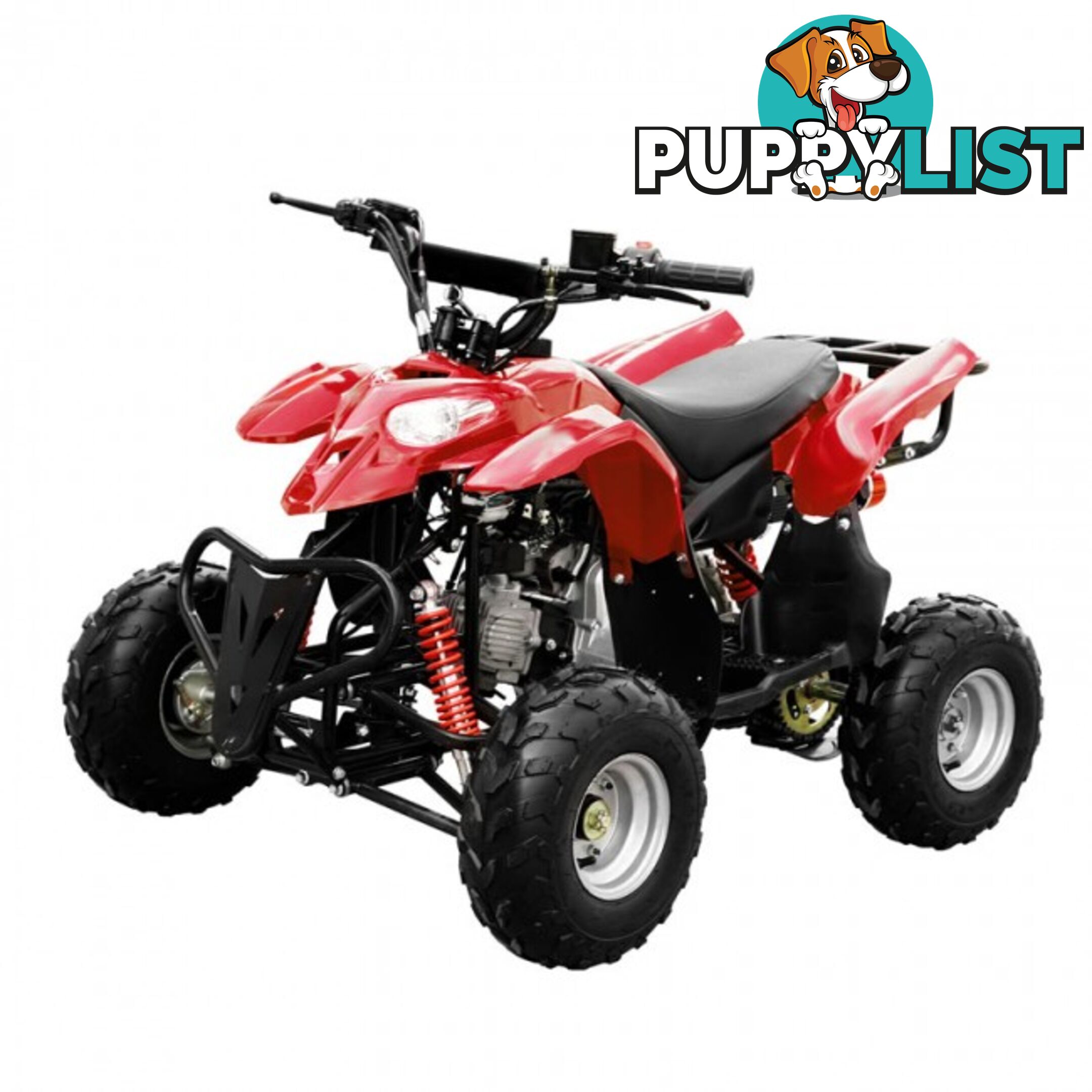 POLAR ATV 110CC FULL AUTO