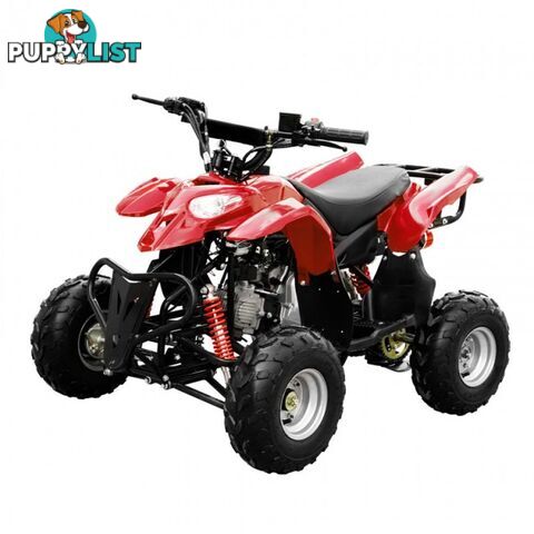 POLAR ATV 110CC FULL AUTO