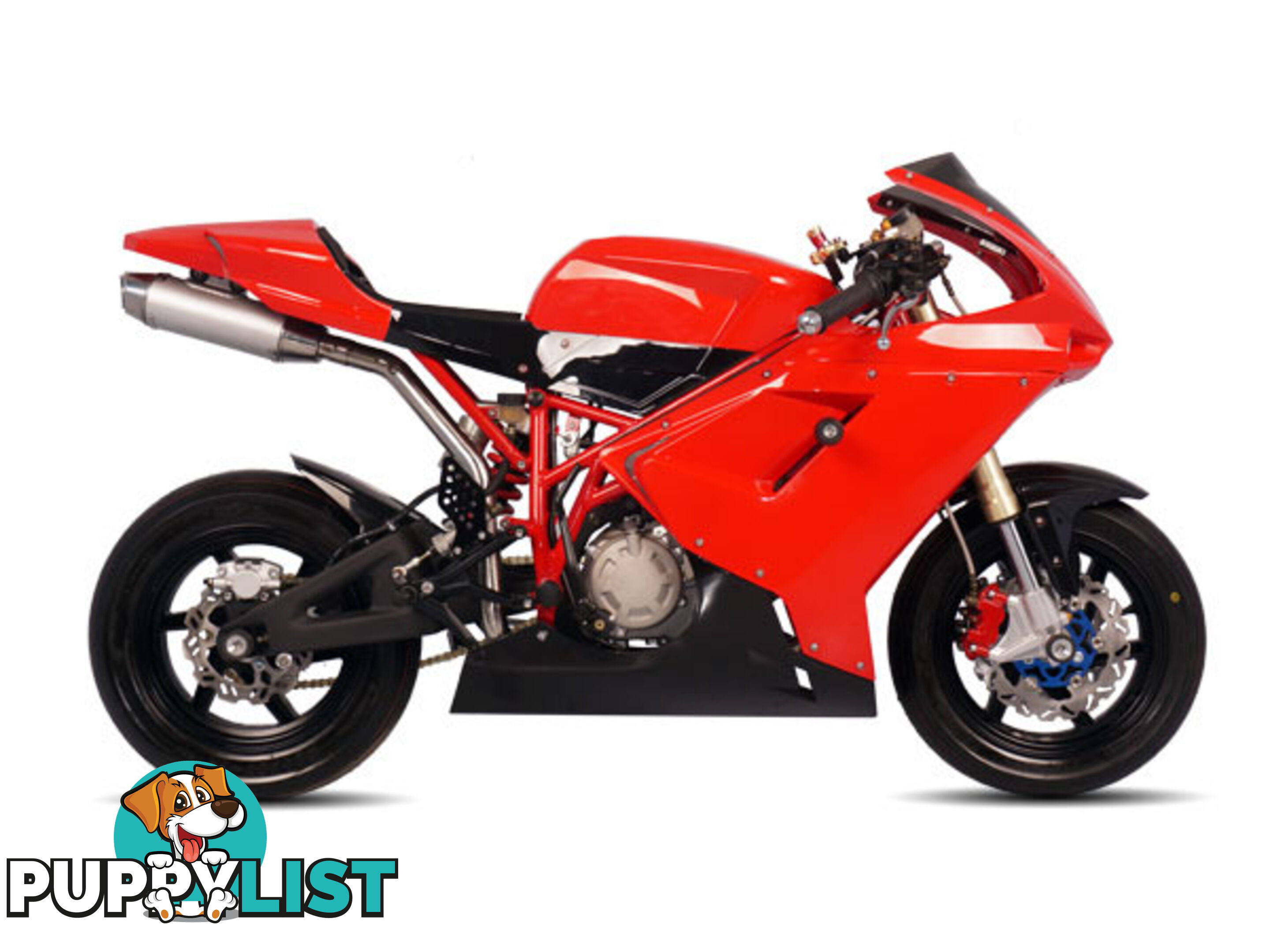 MINI GP DUCATI REPLICA ROAD RACER MOTARD