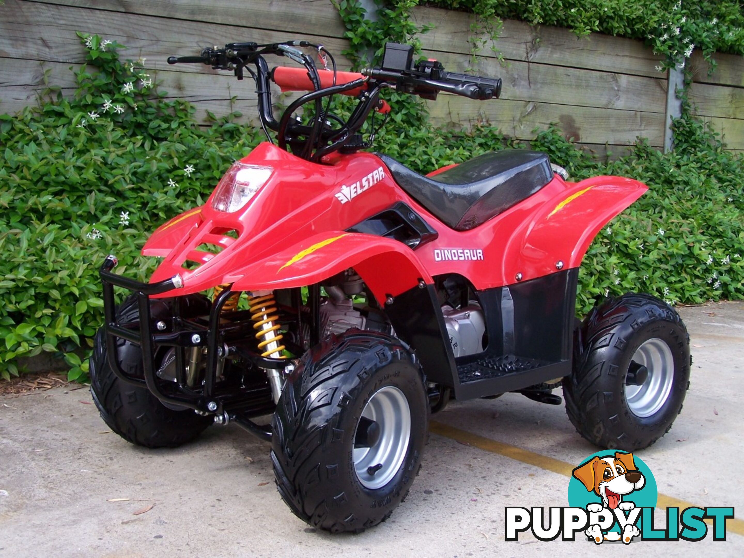 2016 ELSTAR AES110 DINOSAUR 110CC KIDS QUAD BIKE OFF ROAD ATV