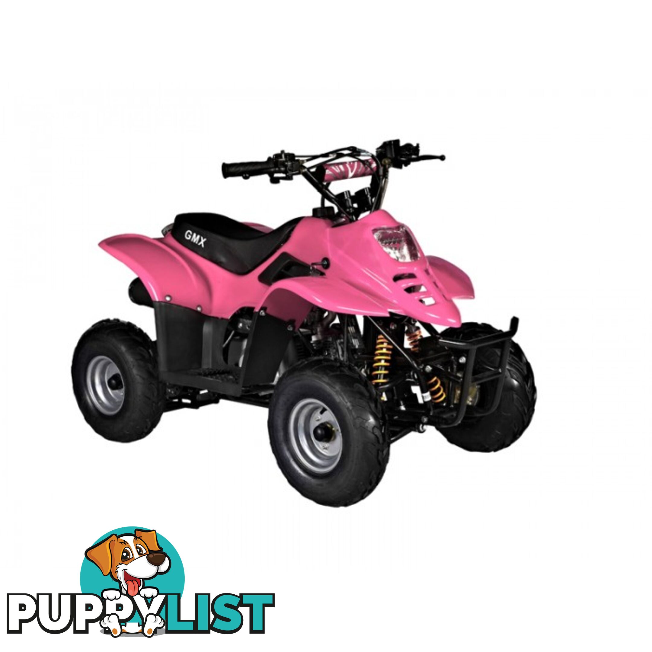 2014 GMX RIPPER 110CC Quad Bike