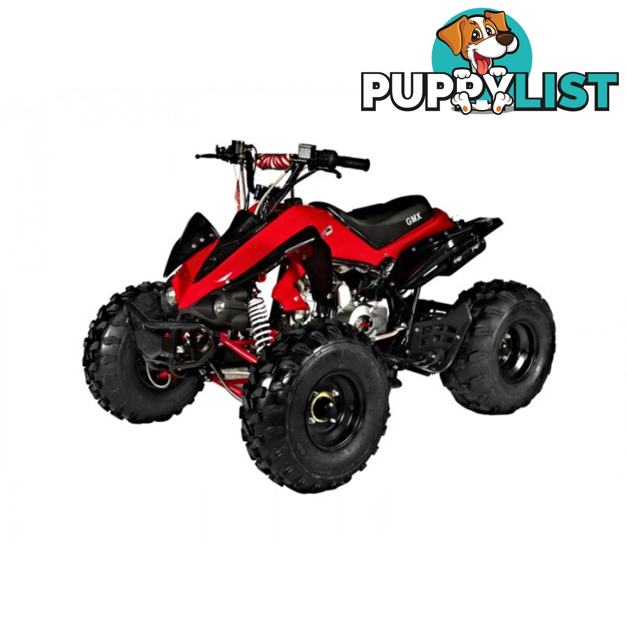 2014 GMX BEAST 125CC Quad Bike