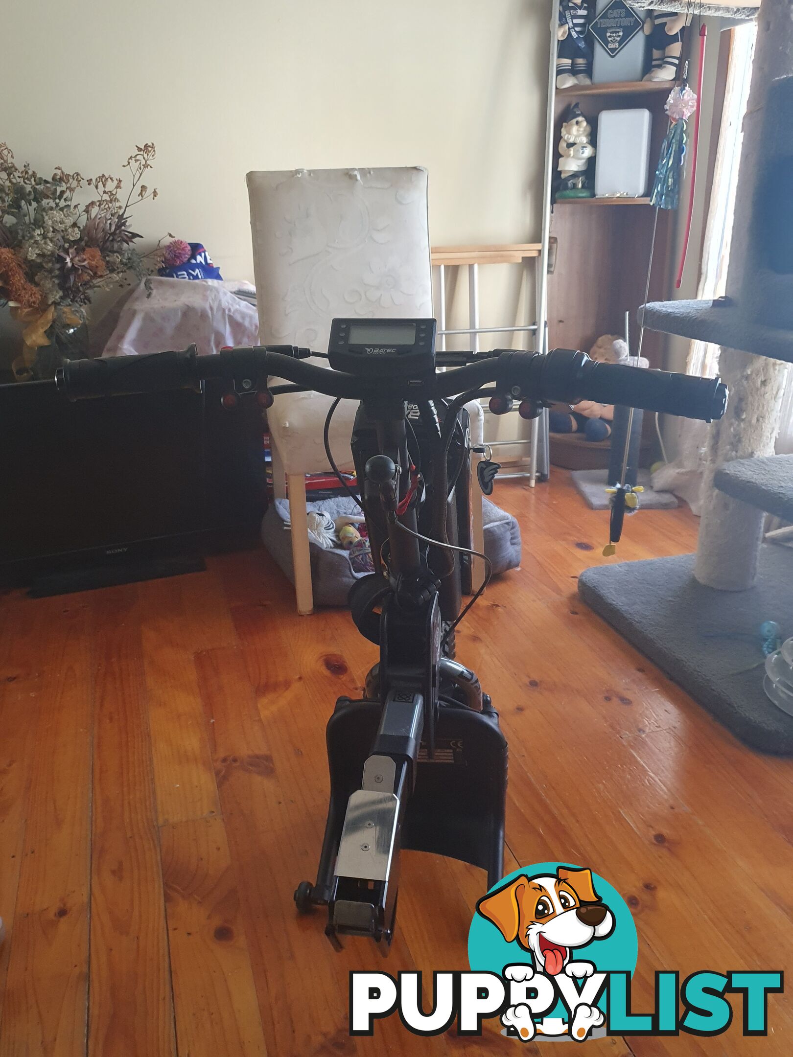 Wheelchair Mobility assist