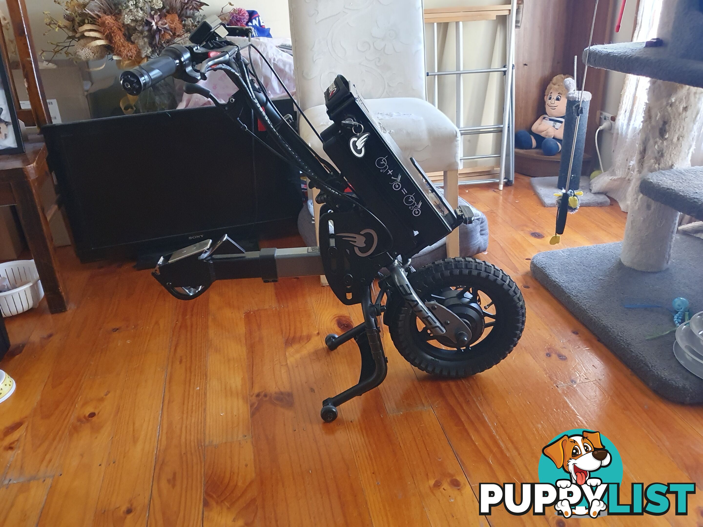 Wheelchair Mobility assist