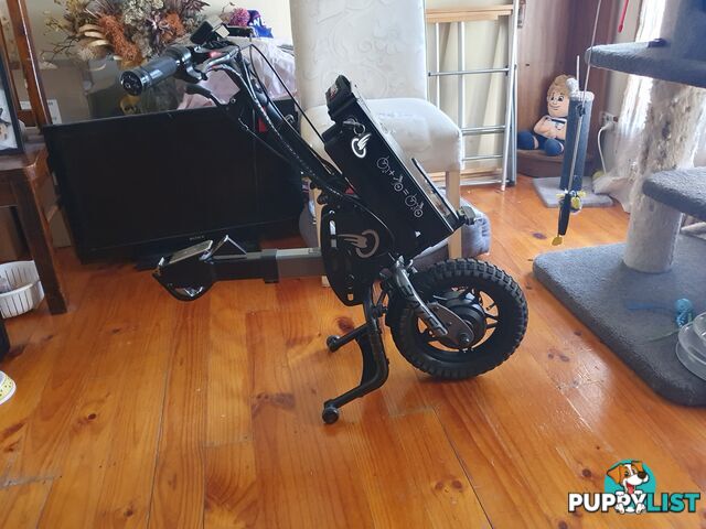 Wheelchair Mobility assist