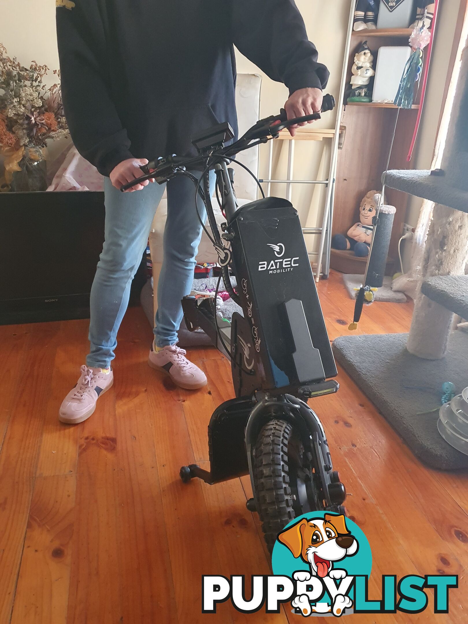 Wheelchair Mobility assist