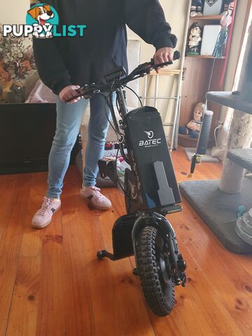 Wheelchair Mobility assist