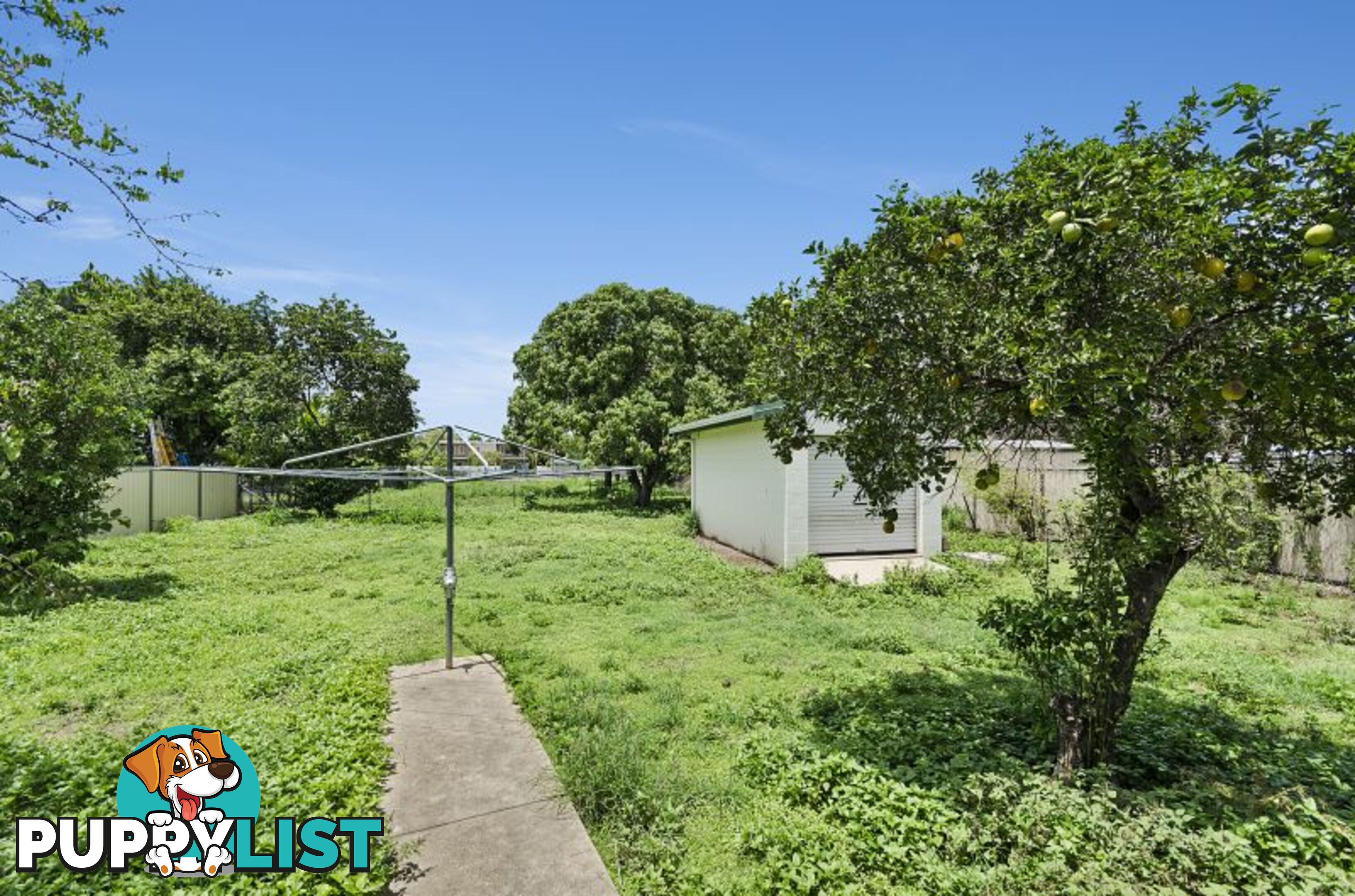 22 Gollogly lane RASMUSSEN QLD 4815