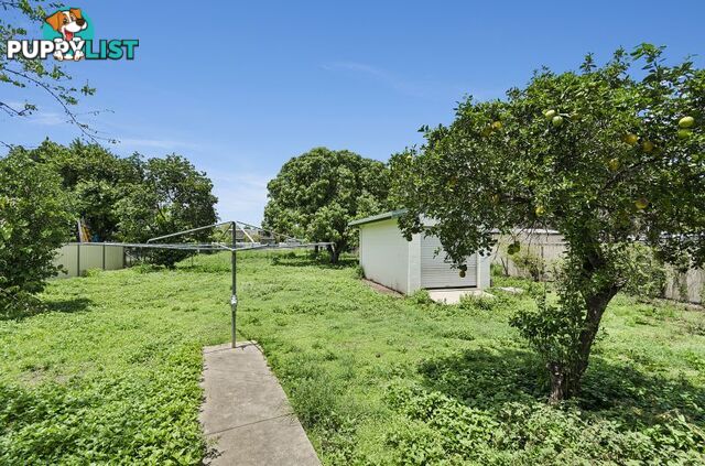 22 Gollogly lane RASMUSSEN QLD 4815