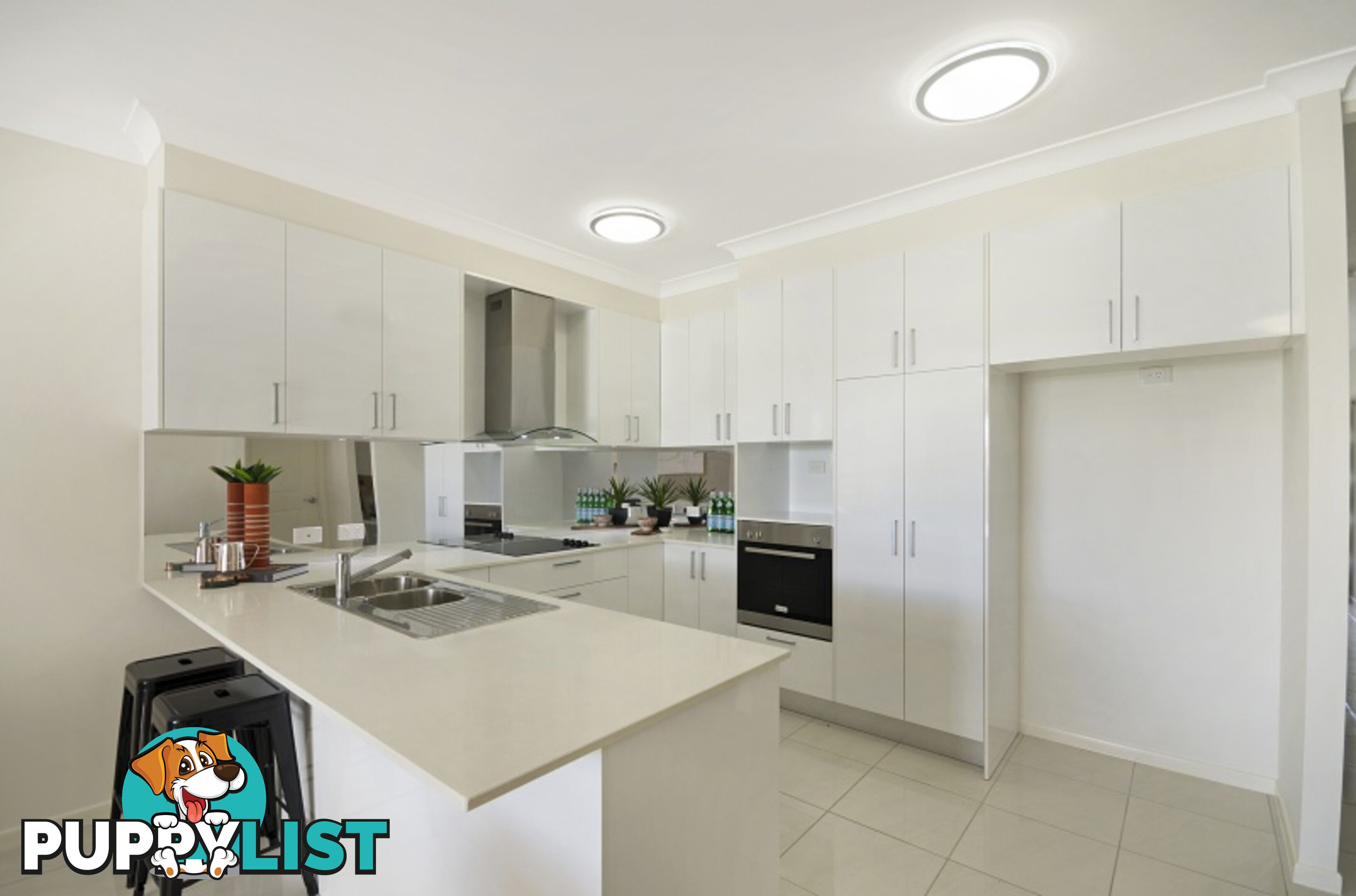 19 Ribaldo Circuit BURDELL QLD 4818