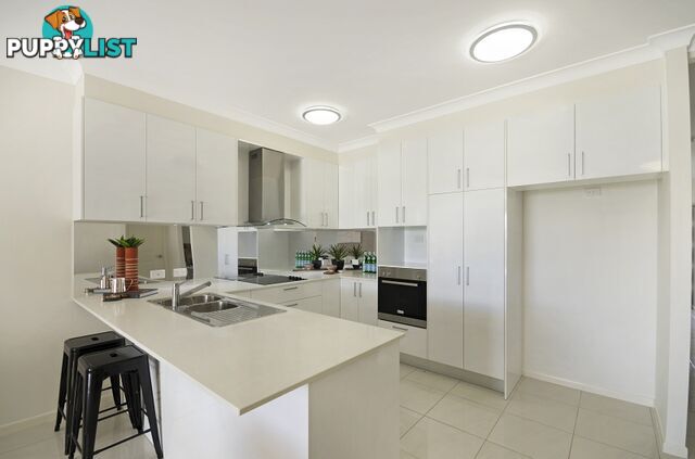 19 Ribaldo Circuit BURDELL QLD 4818