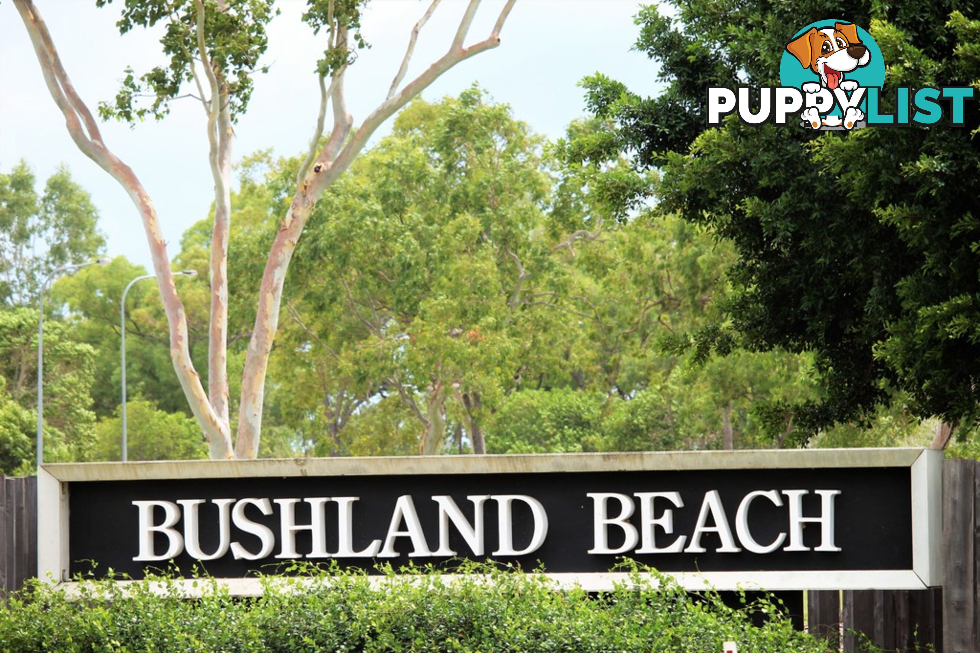 38 Britomart Street BUSHLAND BEACH QLD 4818