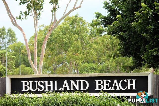 38 Britomart Street BUSHLAND BEACH QLD 4818