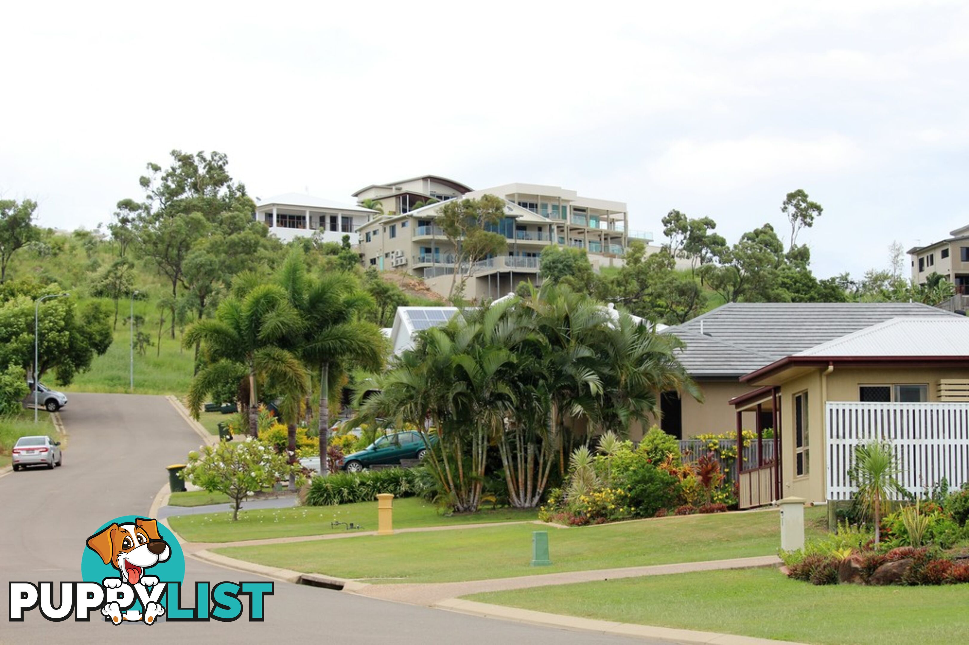 38 Britomart Street BUSHLAND BEACH QLD 4818