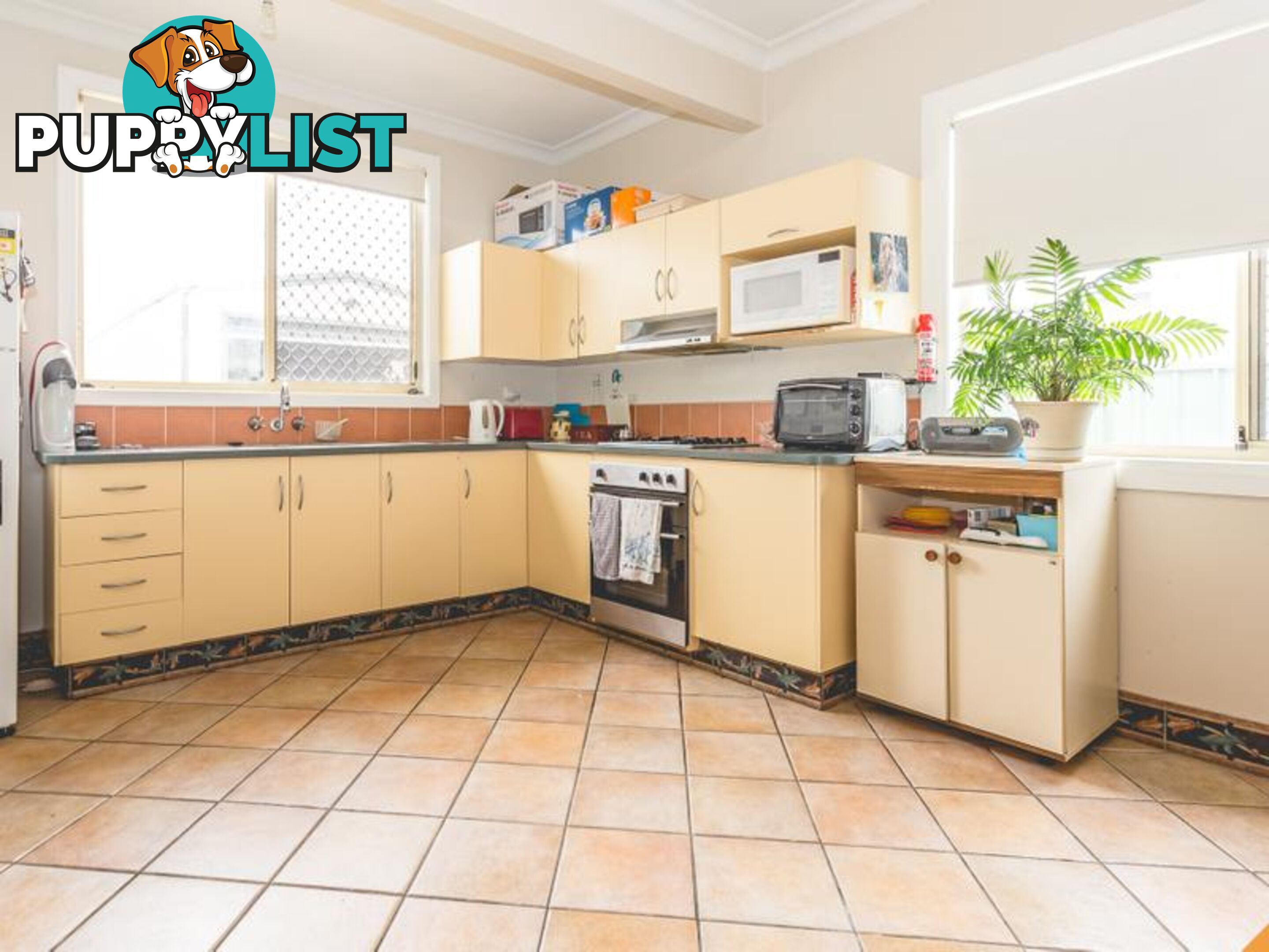 21 Albert Street SWANSEA NSW 2281