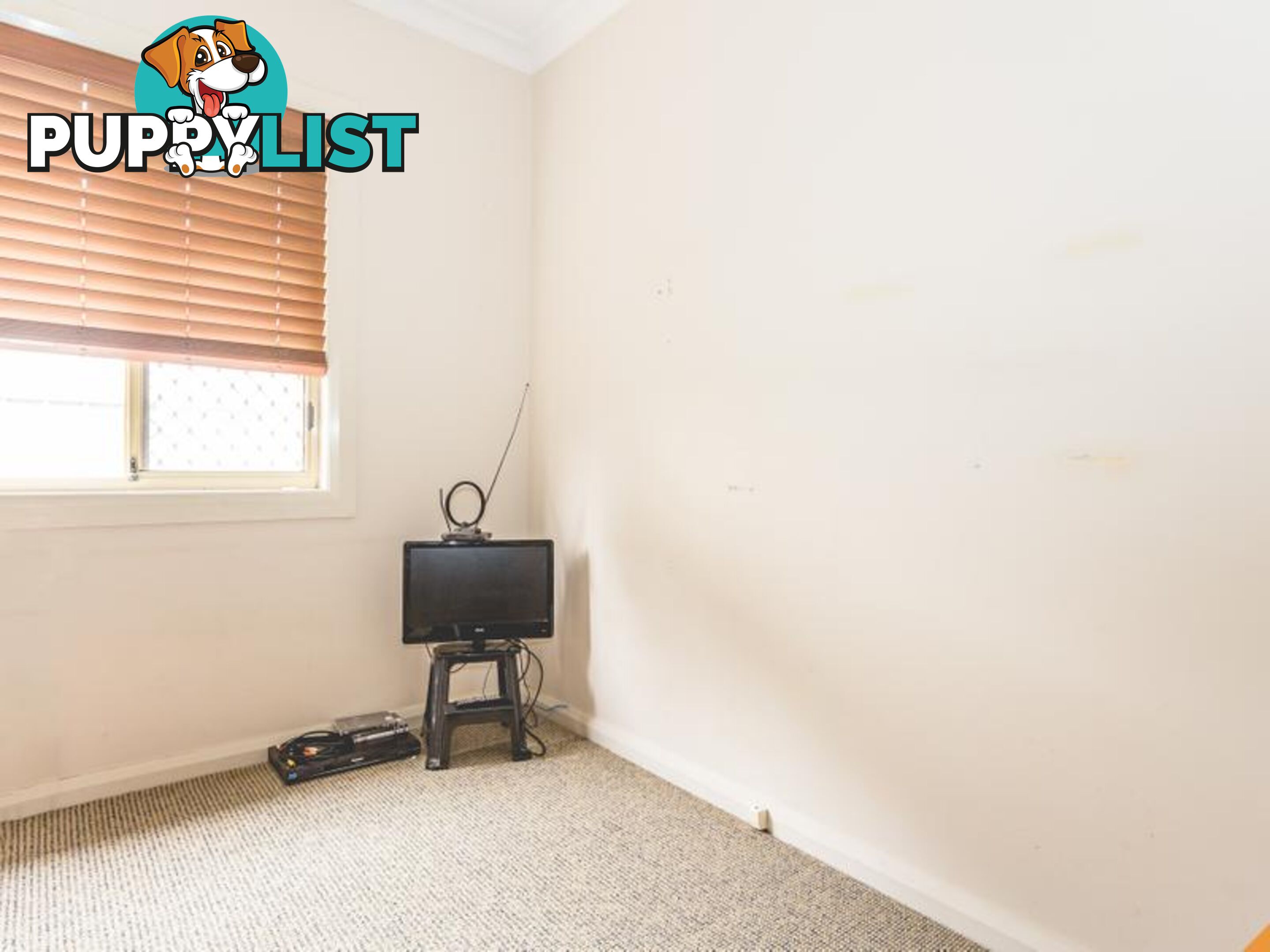 21 Albert Street SWANSEA NSW 2281