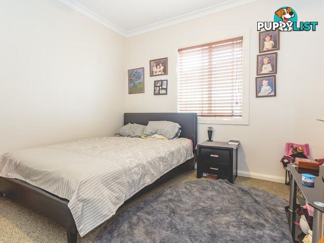 21 Albert Street SWANSEA NSW 2281