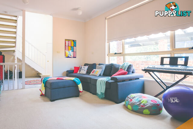 150 Tirriki Street CHARLESTOWN NSW 2290