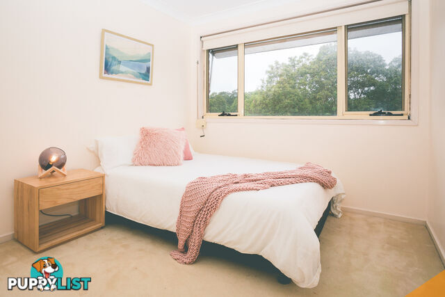 150 Tirriki Street CHARLESTOWN NSW 2290