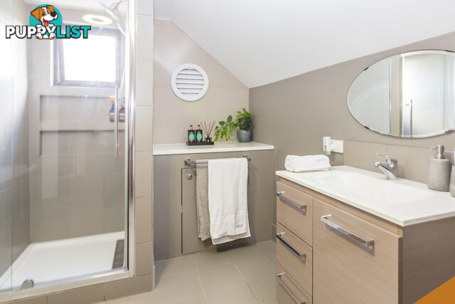 82 Barton St MAYFIELD NSW 2304