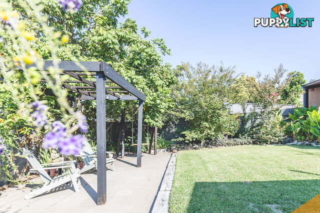 82 Barton St MAYFIELD NSW 2304