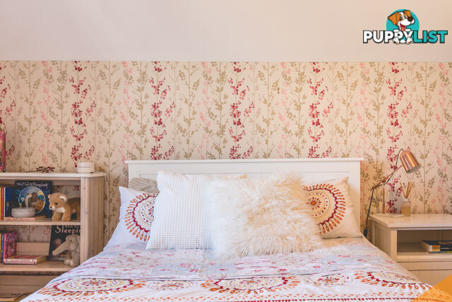 82 Barton St MAYFIELD NSW 2304