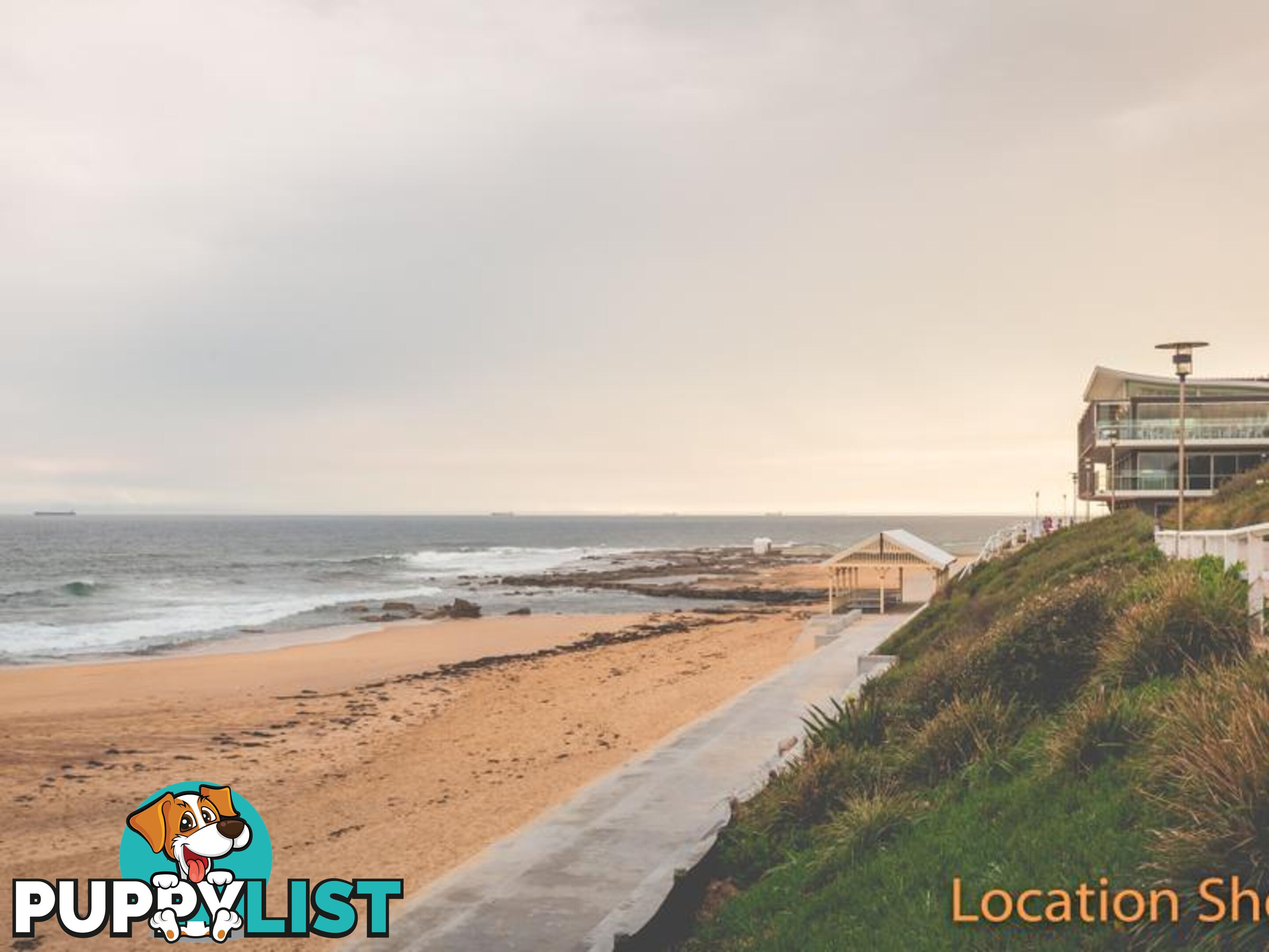 31A Hall Street MEREWETHER NSW 2291