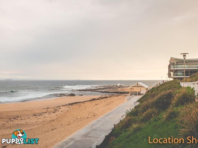 31A Hall Street MEREWETHER NSW 2291