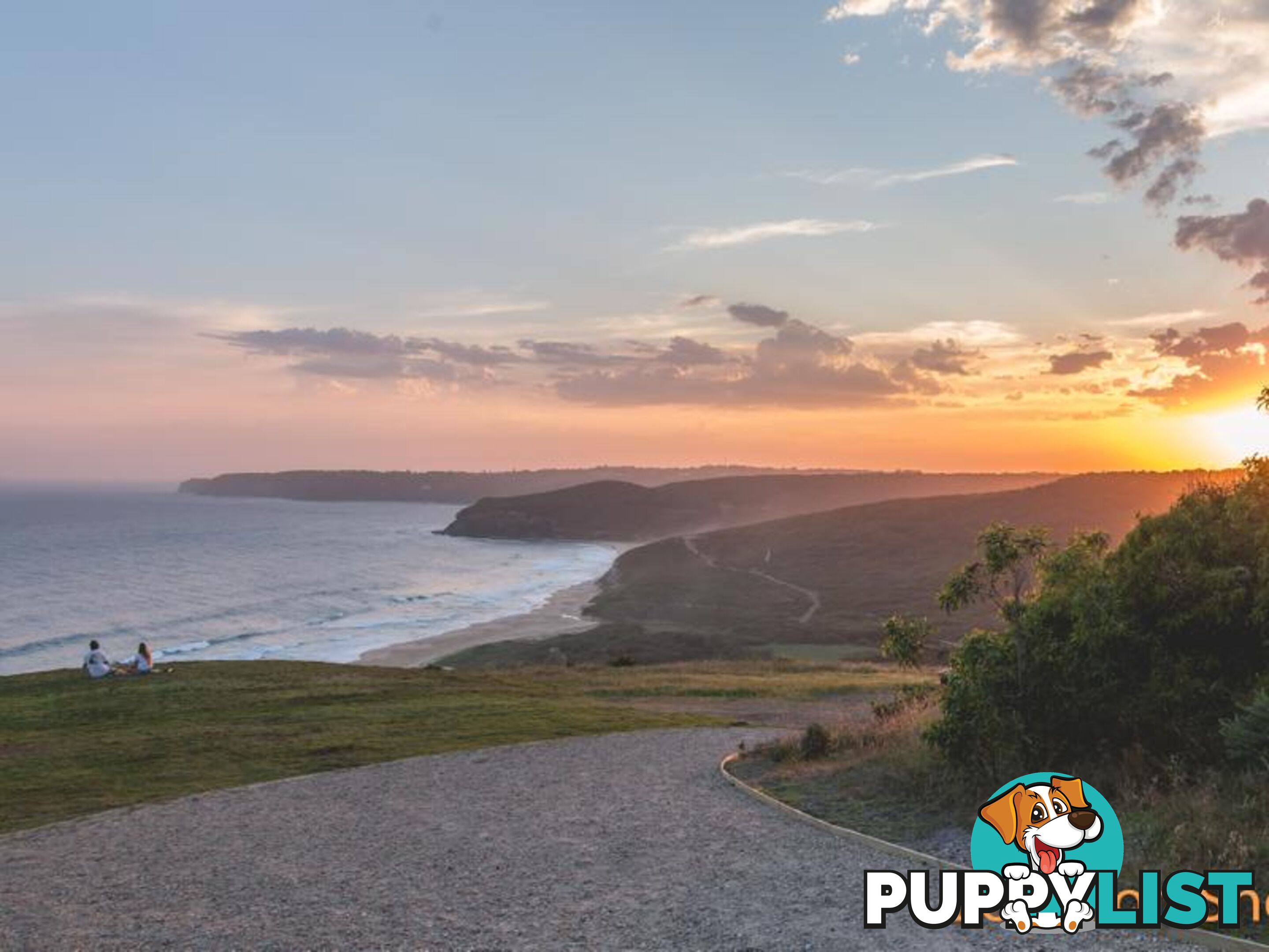 31A Hall Street MEREWETHER NSW 2291