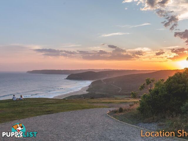 31A Hall Street MEREWETHER NSW 2291