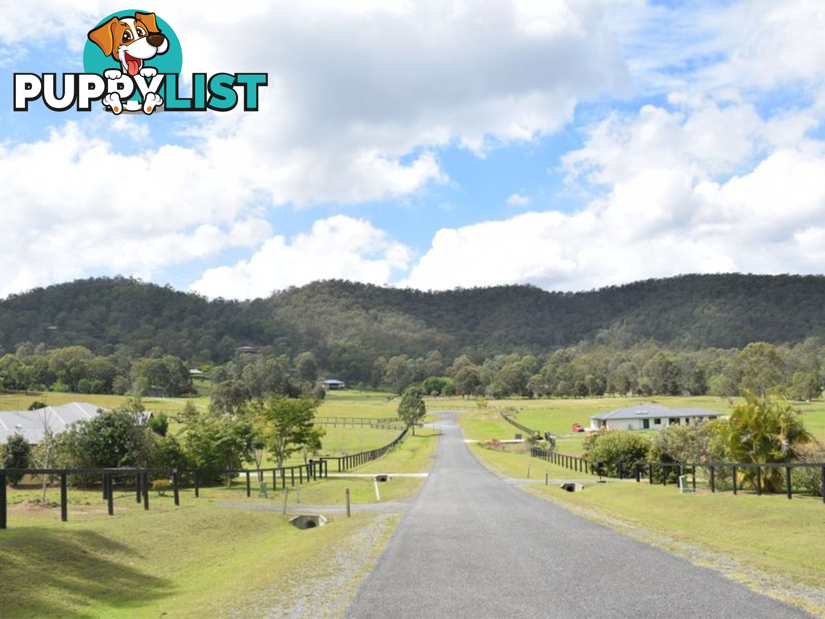 15 COOINGIE VIEW ROAD LOGAN VILLAGE QLD 4207