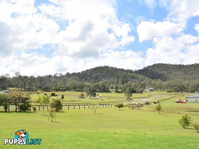 15 COOINGIE VIEW ROAD LOGAN VILLAGE QLD 4207