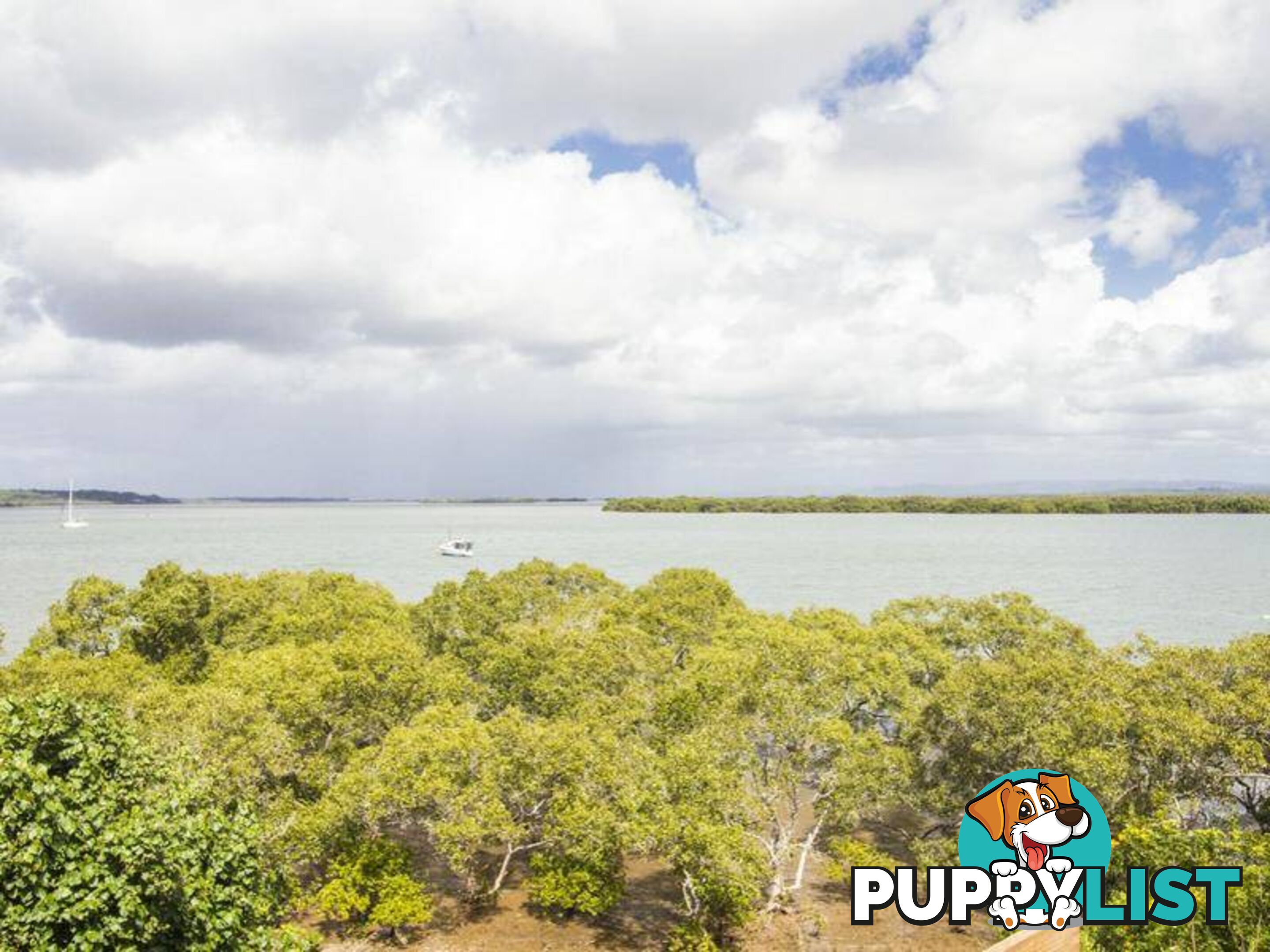 14 Emily Crescent MACLEAY ISLAND QLD 4184