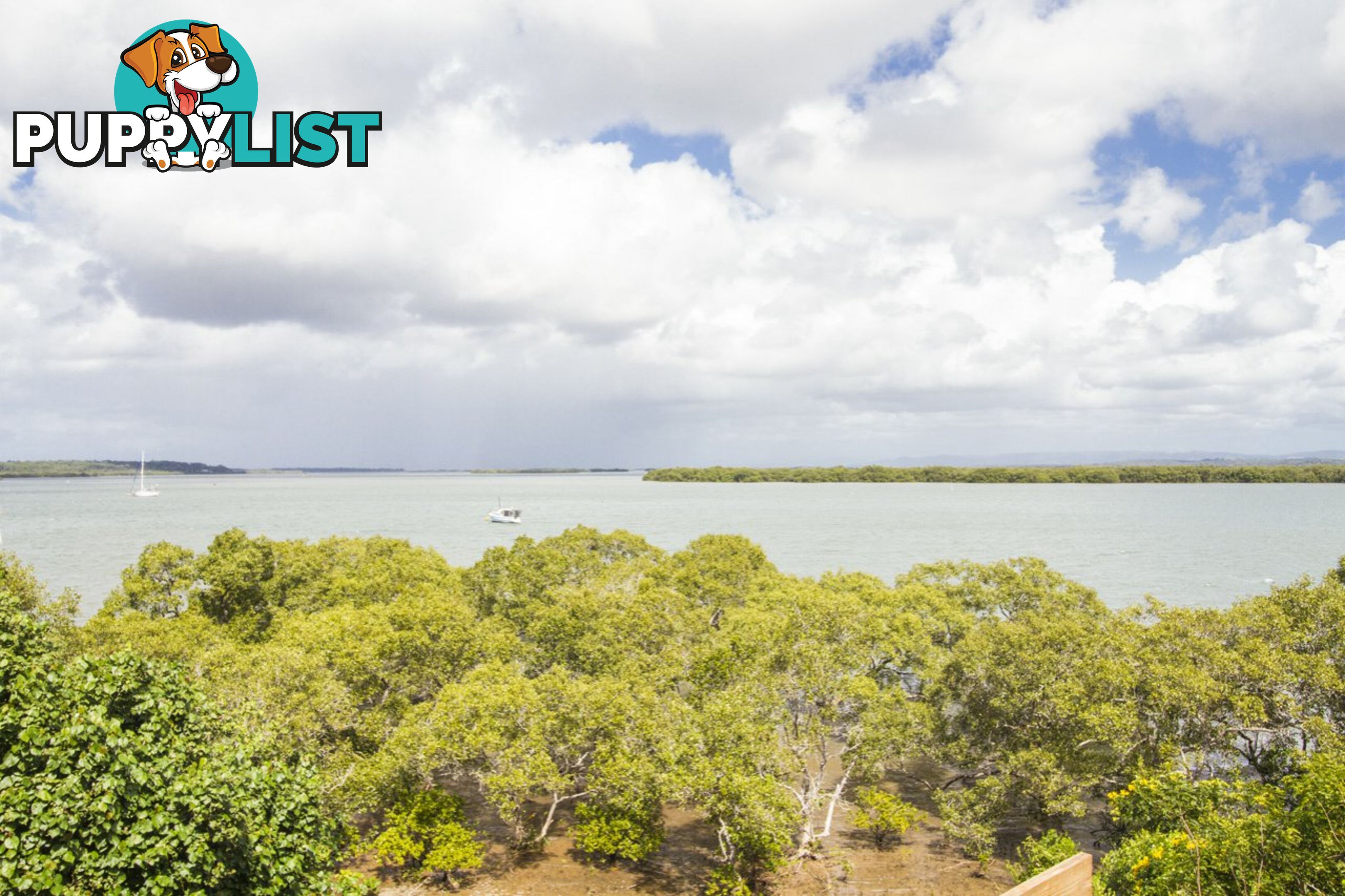 14 Emily Crescent MACLEAY ISLAND QLD 4184